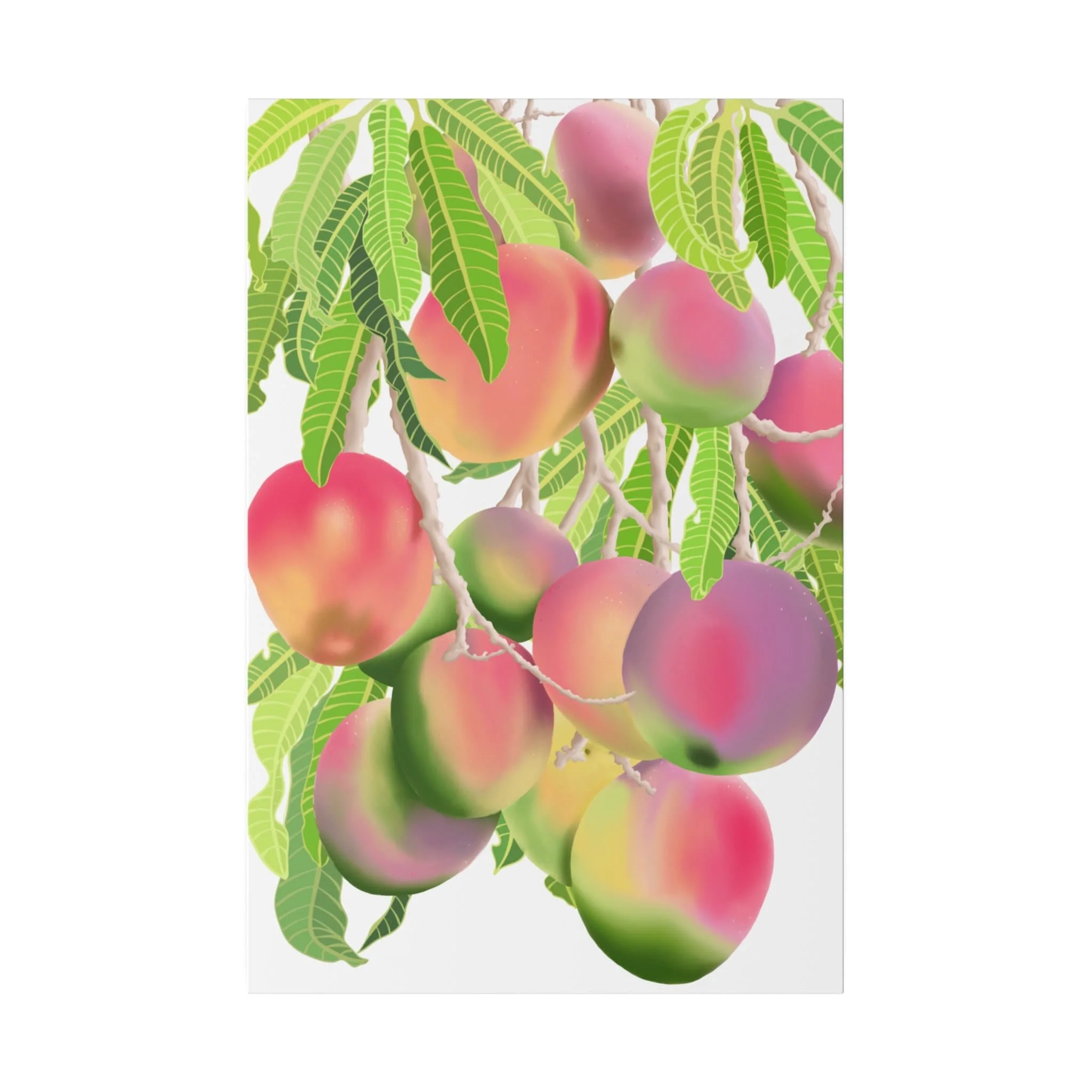 https://i.etsystatic.com/20657971/r/il/ddbf34/5861236377/il_fullxfull.5861236377_eak6.jpg