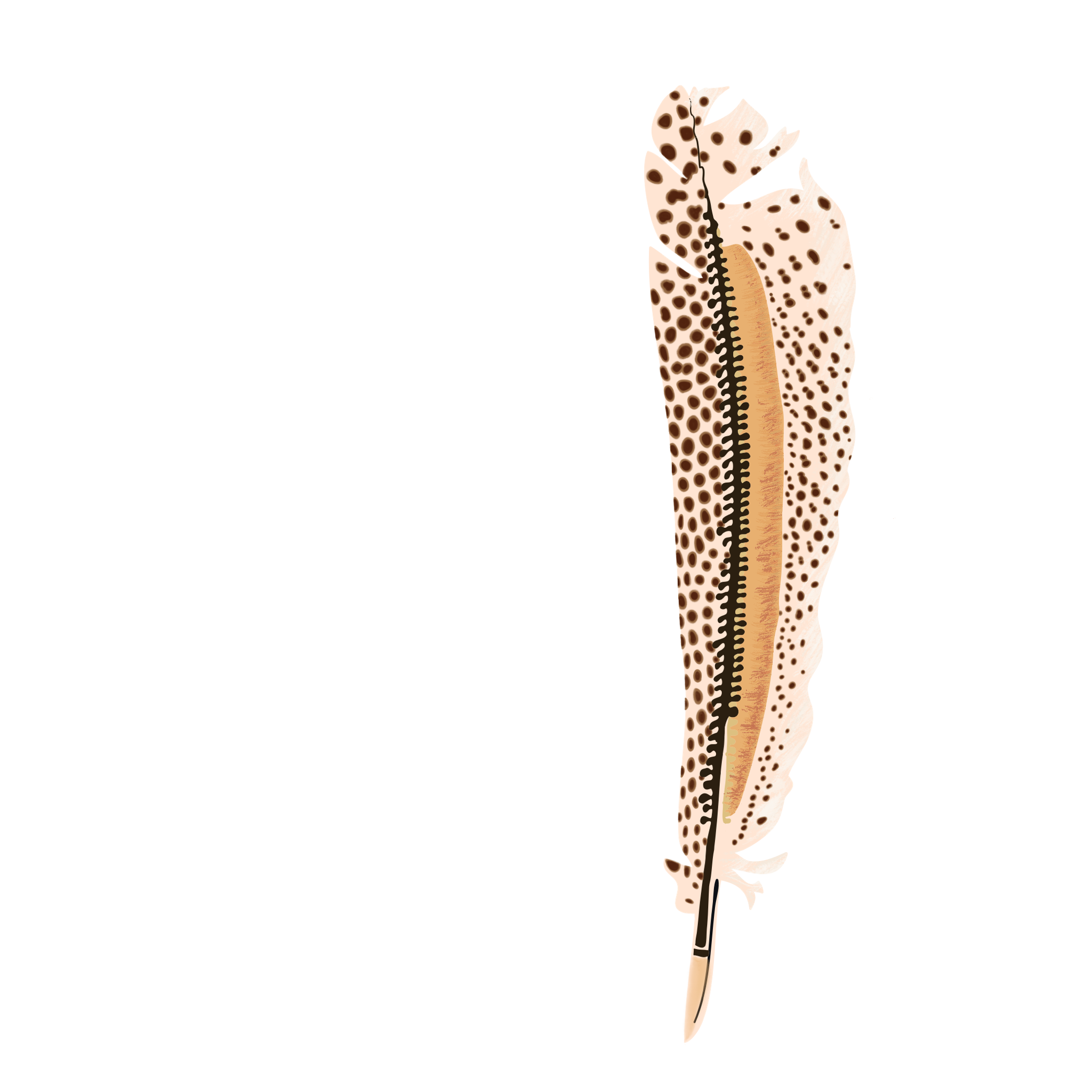 Peach_Feather.png