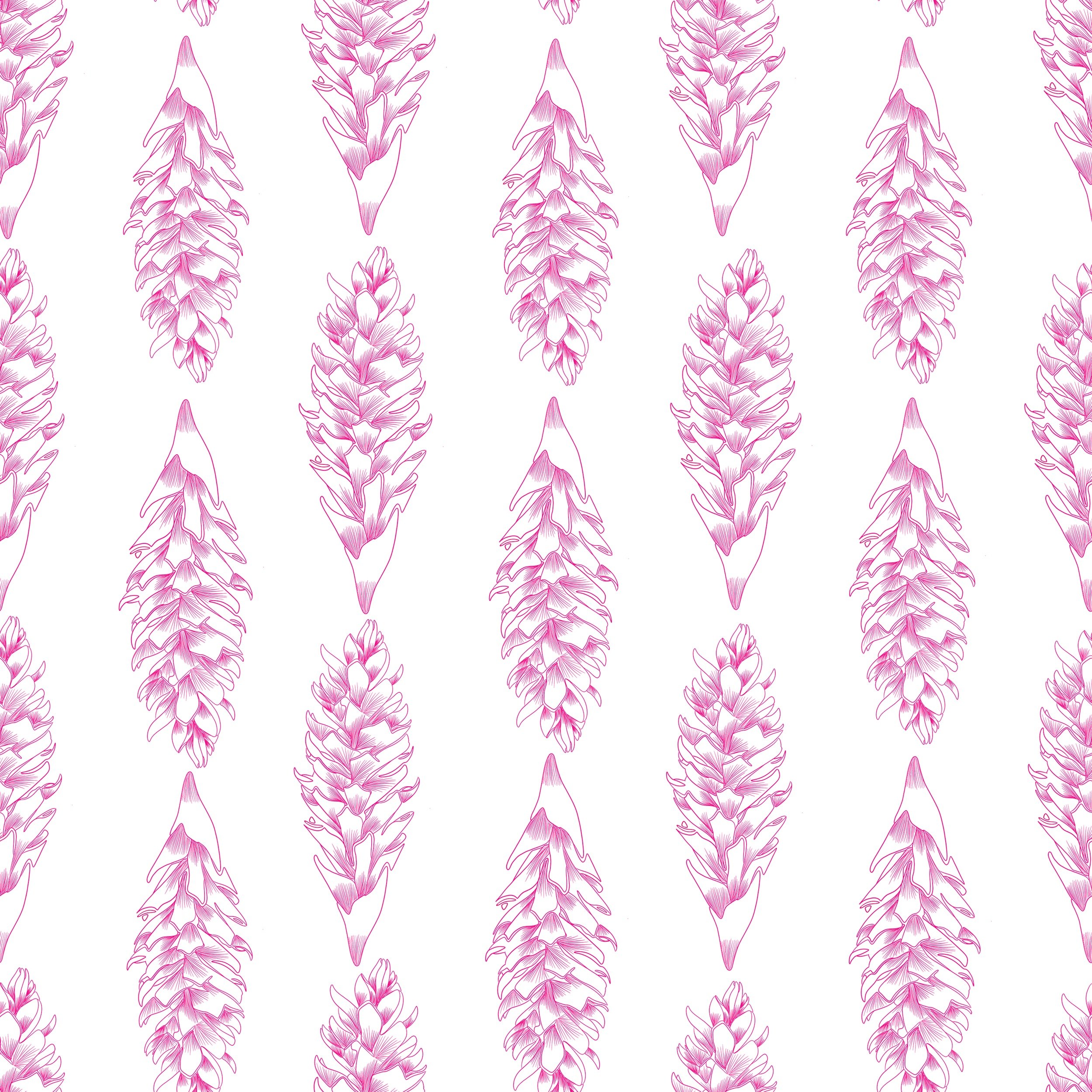 Ginger Blossoms