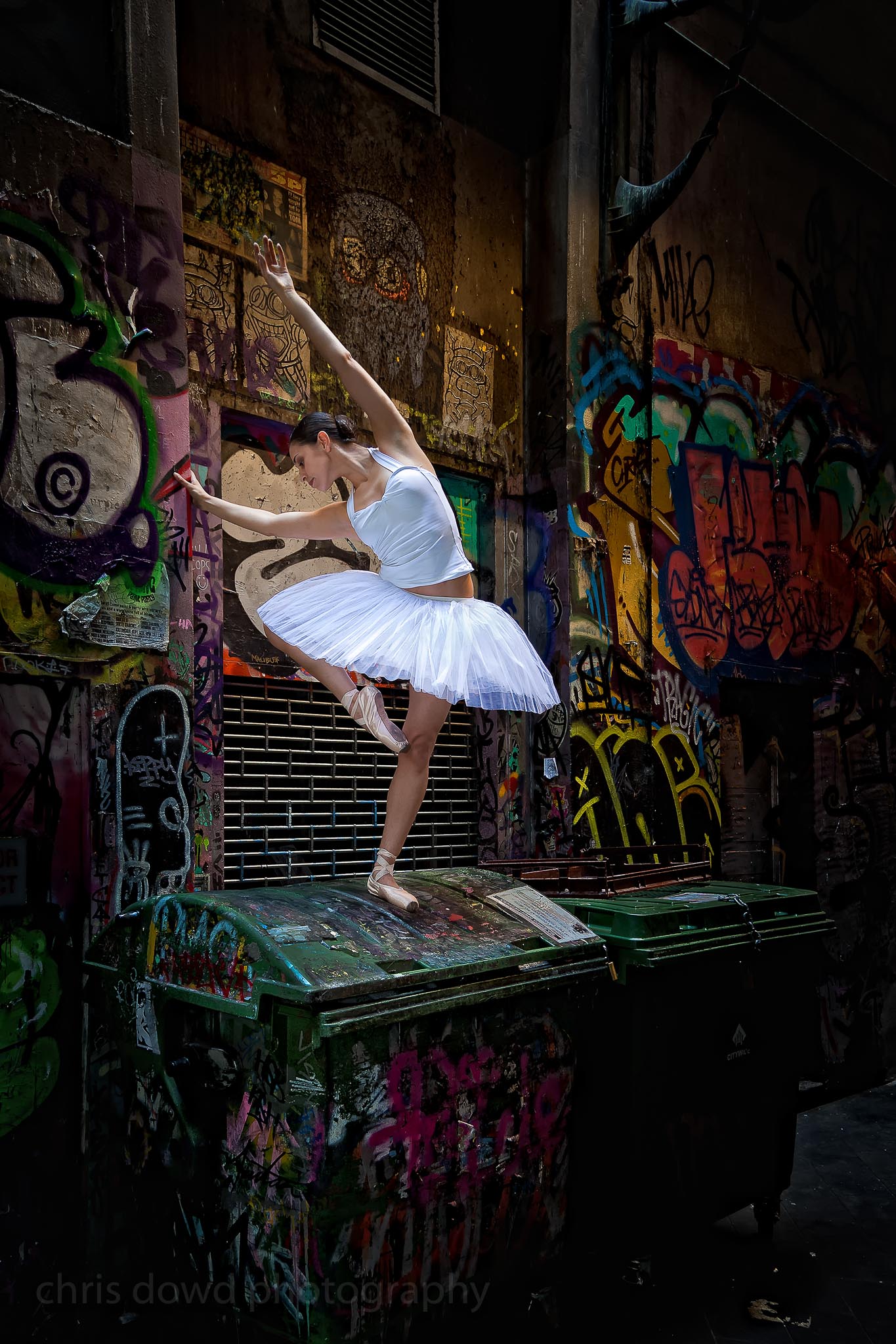 Dowd_20110329-8260_Print ready 10in-Edit-Edit-Edit-2.jpeg