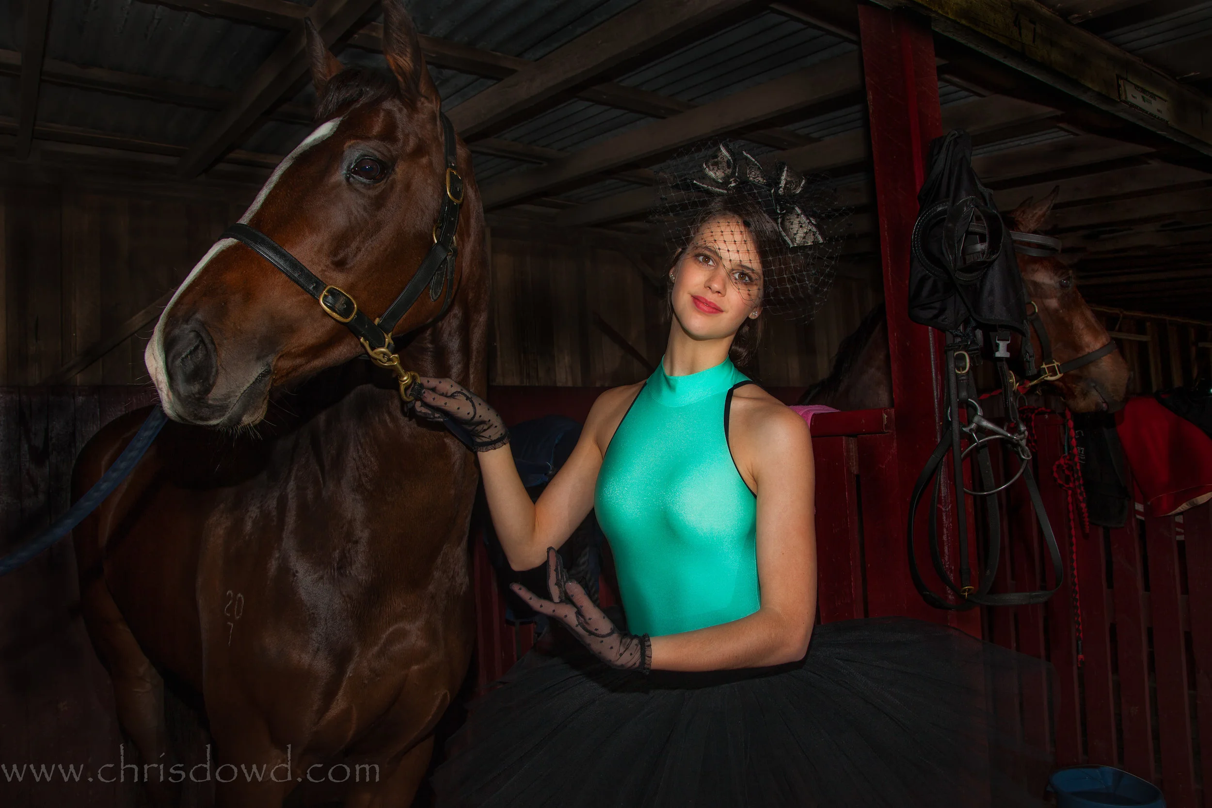 Dowd-20120610_7311-Edit-GG-Edit.jpg