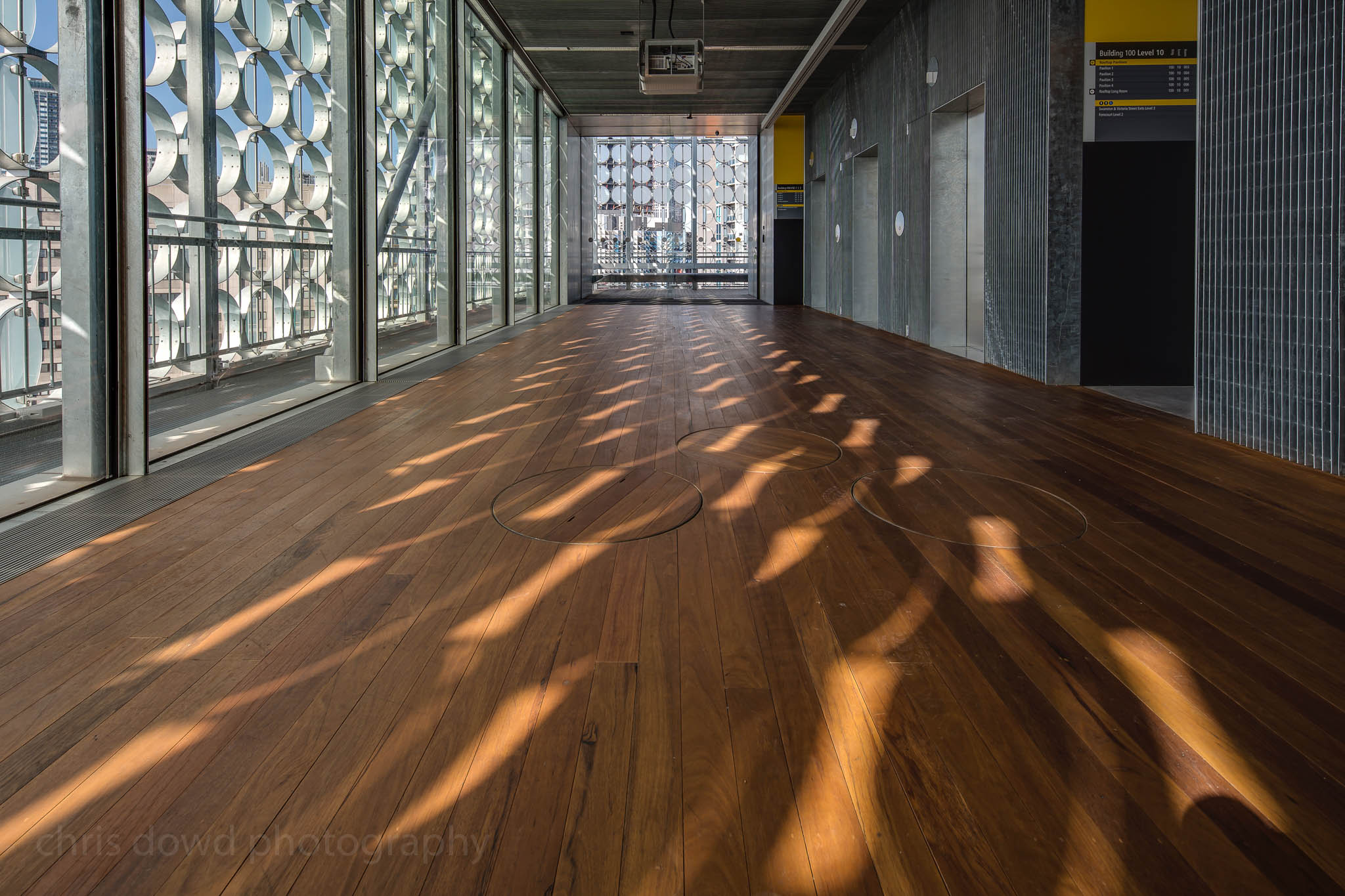 Dowd-20170614-8020.jpg