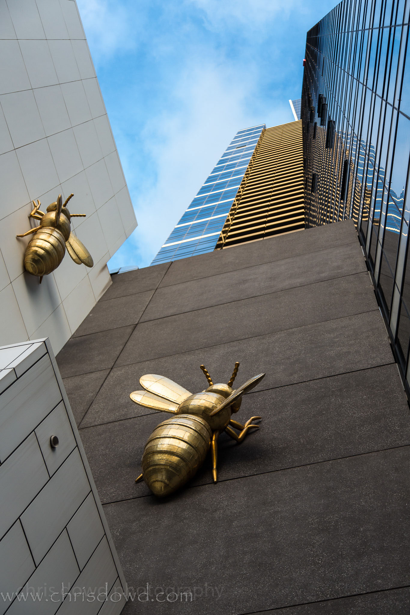 Dowd-20130618-0184.jpg