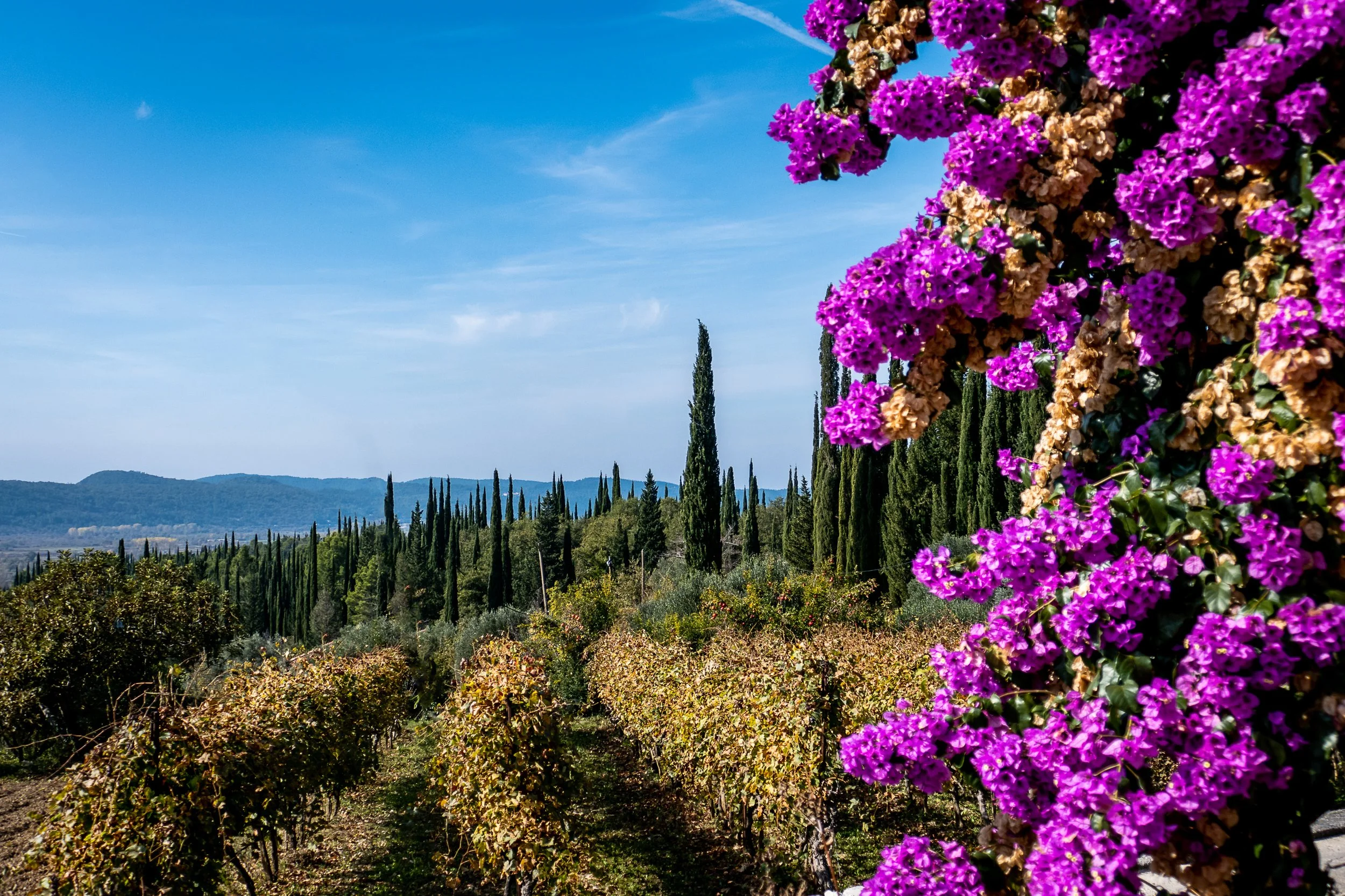 20191030-P1012374-Edit.jpg