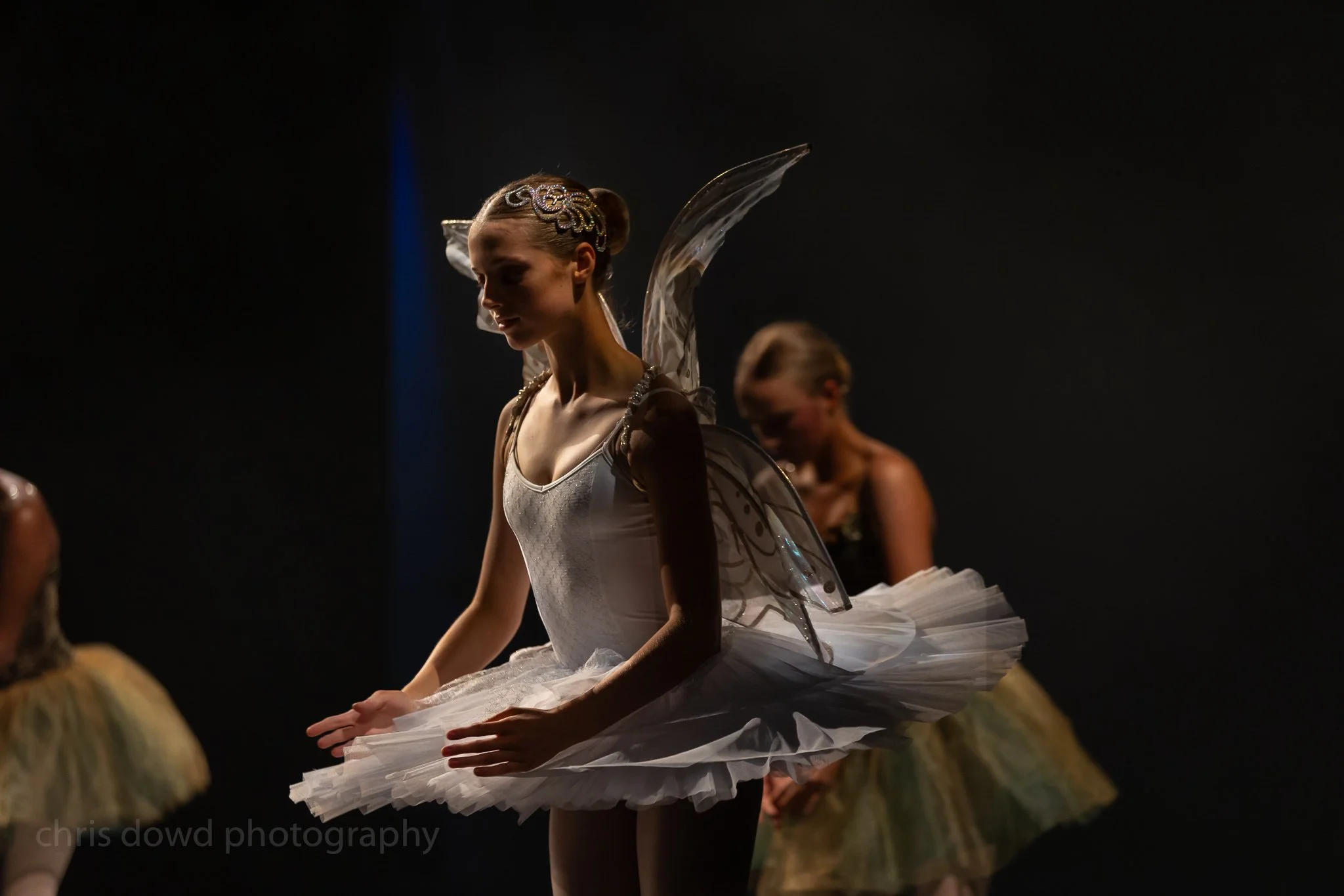 Dowd-20231216-2-505 copy.jpg