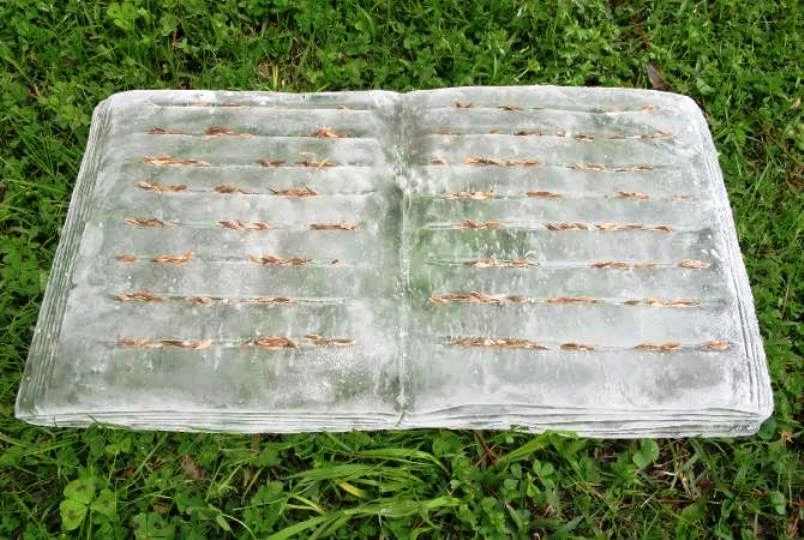 libros de hielo y semillas 3.jpeg