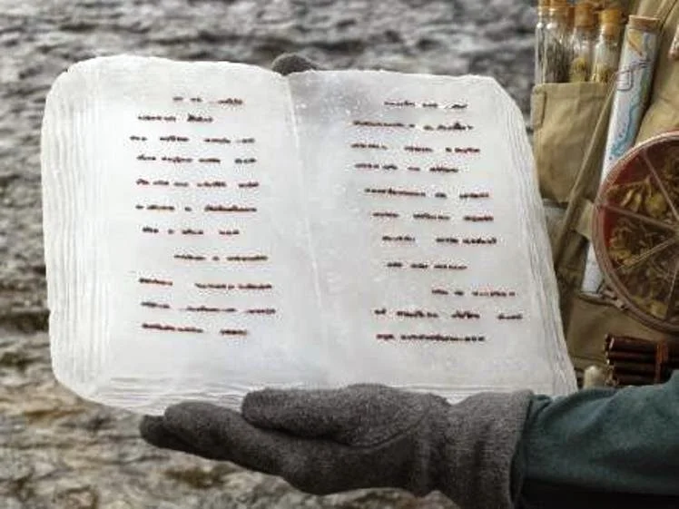 libros de hielo y semillas 6.jpeg