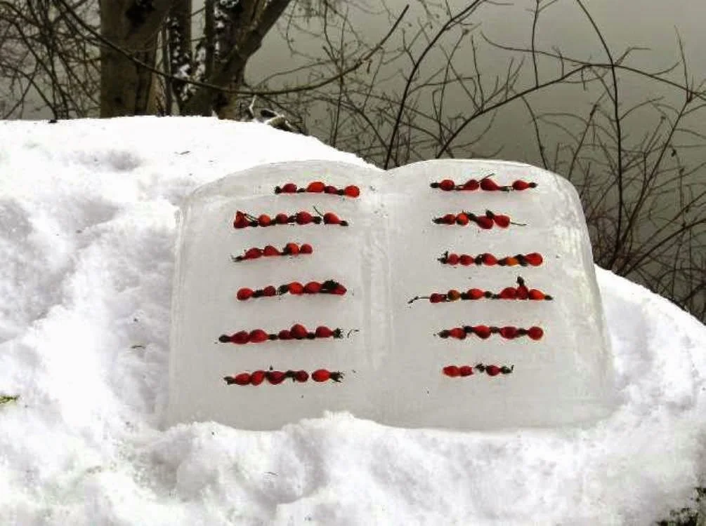 libros de hielo y semillas 16.jpeg