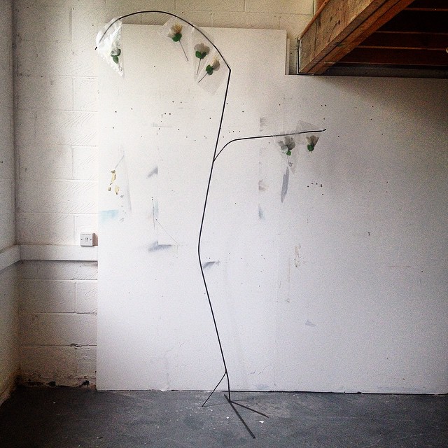 The Hubristic idea of a tree