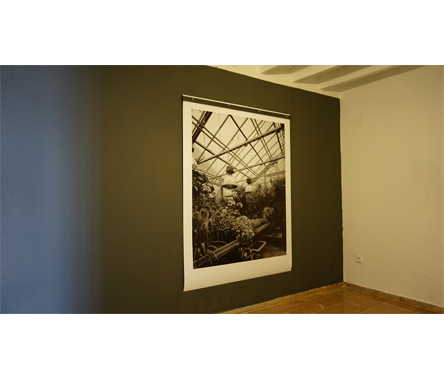 A VERY SMALL APOTHEOSIS - 2015