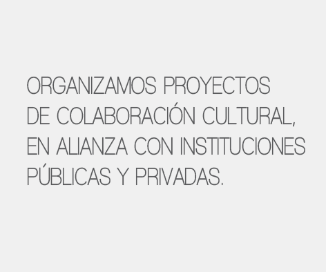 PROYECTOS INSTITUCIONALES