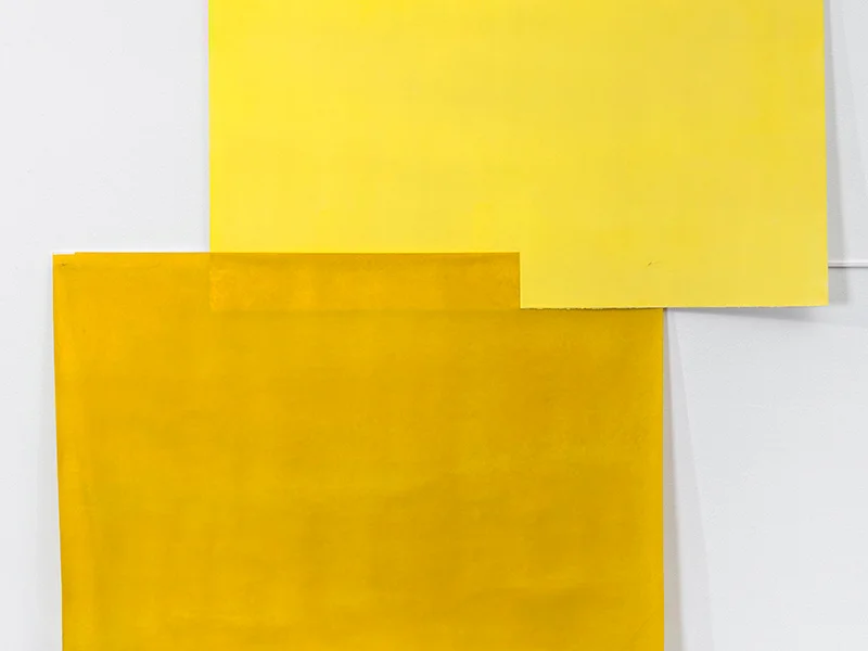 Bernardo Ortiz   Sin título, 2015    Óleo sobre papel   132 x 127 cm