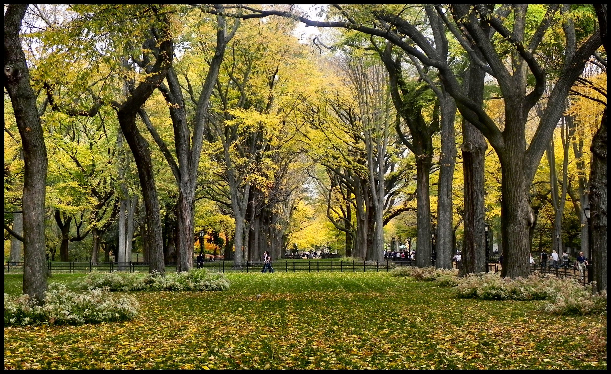 Central Park