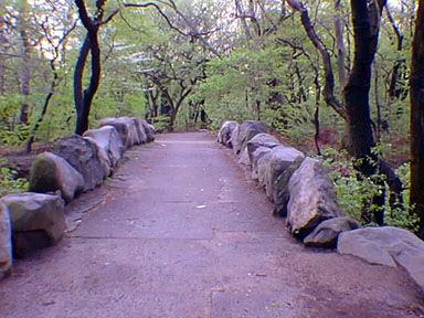 Prospect Park in Brooklyn USA (USGS)