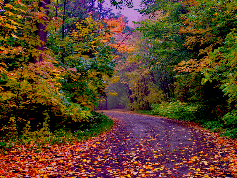 Mount Royal Park in Montreal