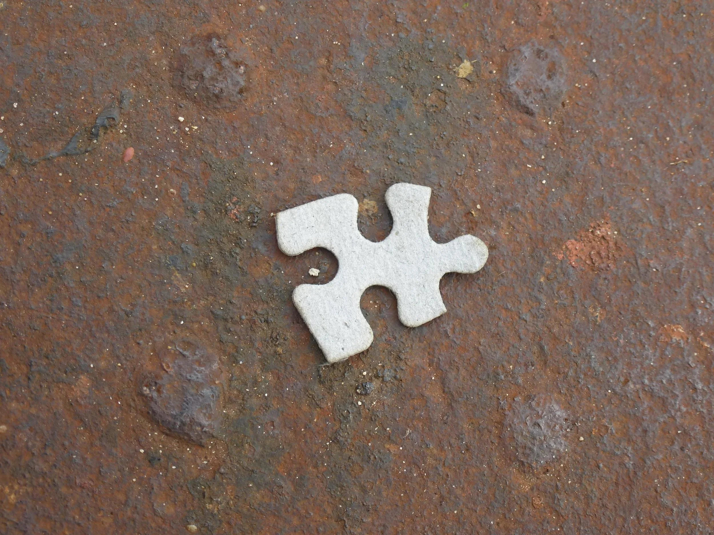 Puzzle Piece.JPG