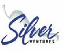 Silver Ventures Logo.jpg
