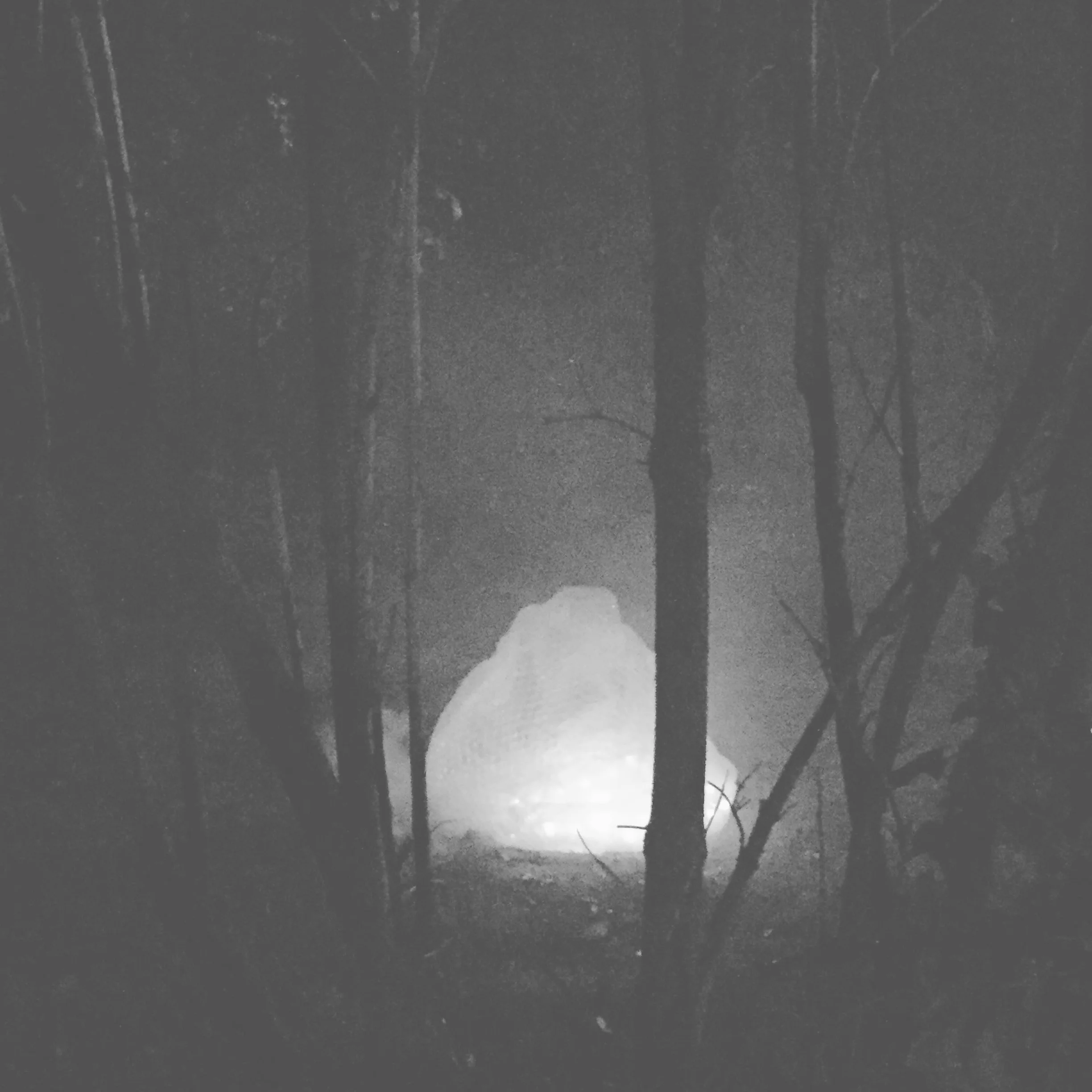 My own alien encounter