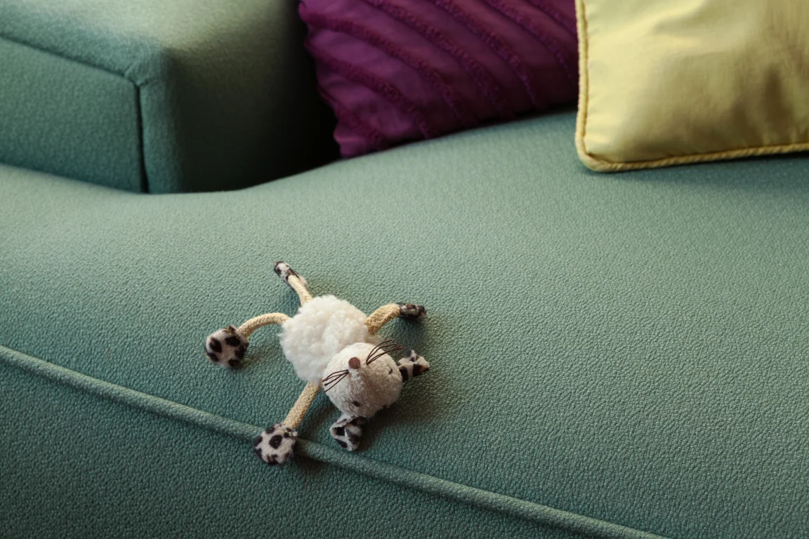 Morbidity & Mortality: Mouse, 2012
