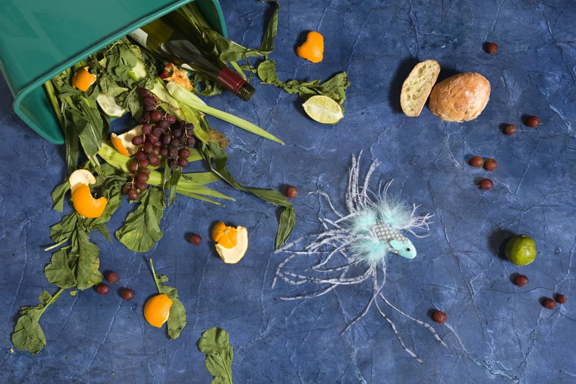 Morbidity & Mortality: Fish, 2013