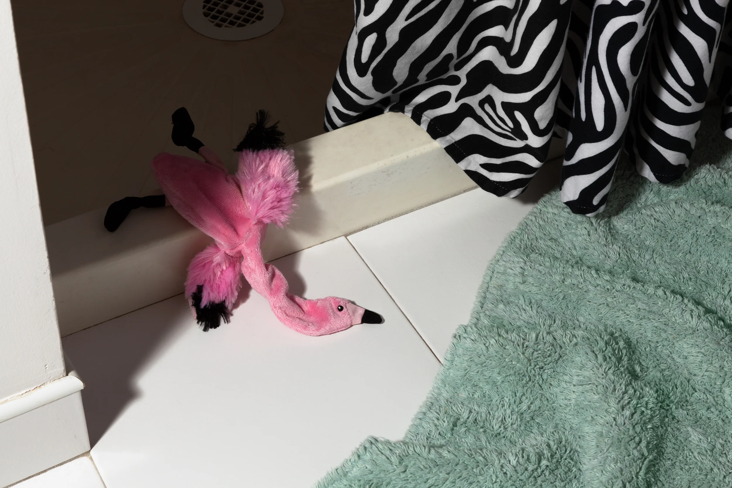 Morbidity & Mortality: Flamingo