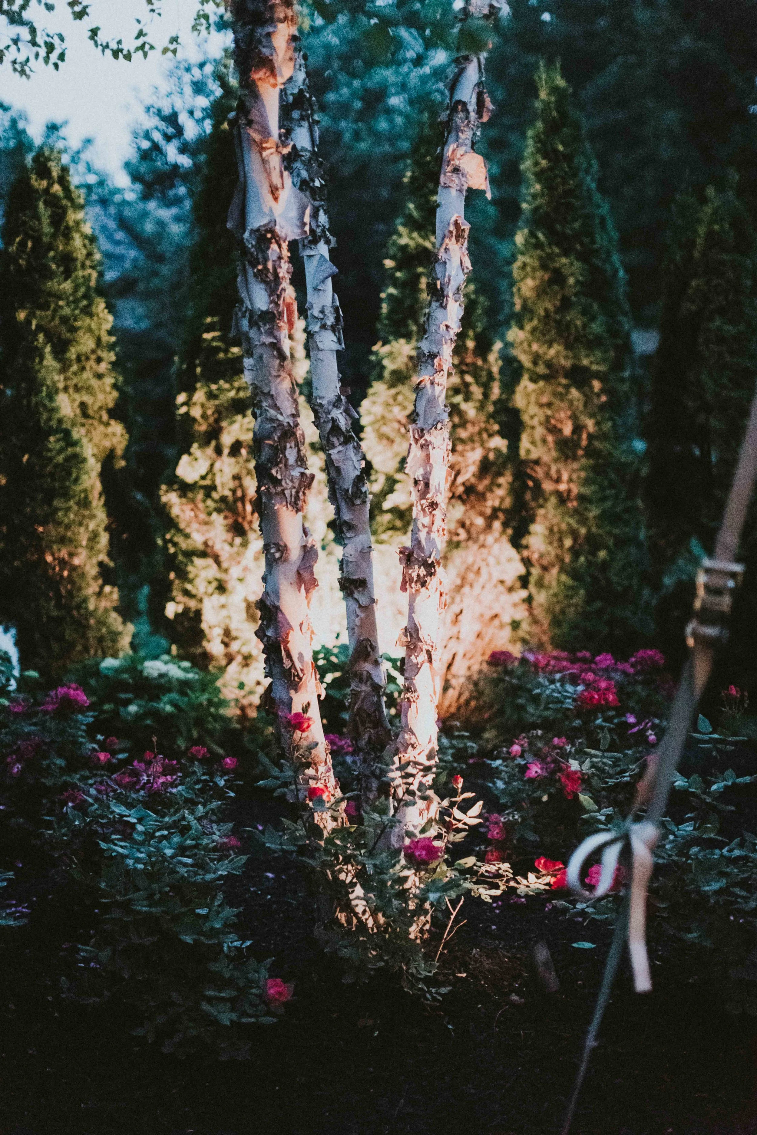 Megown-1008.jpg