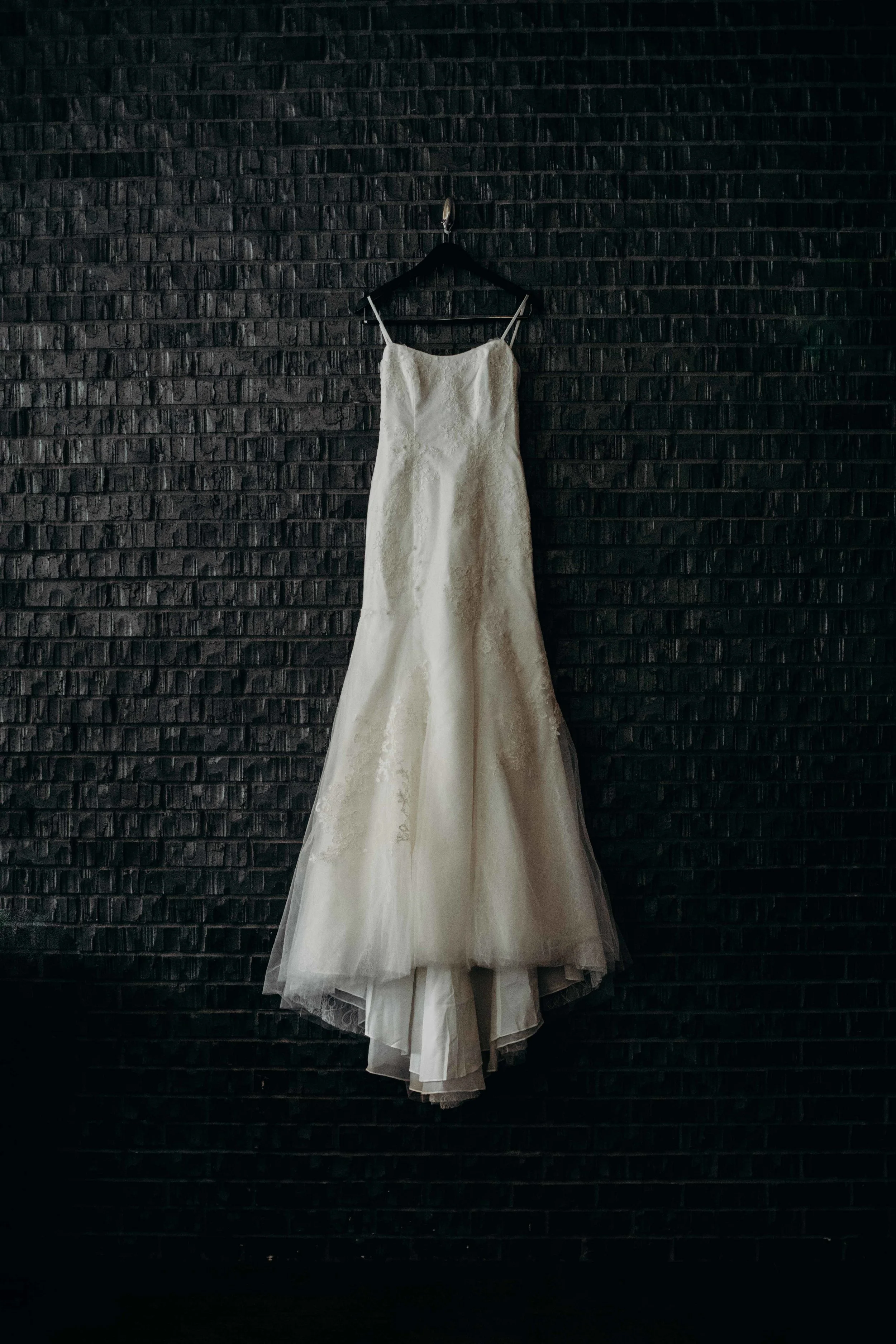 Web Size-1.jpg