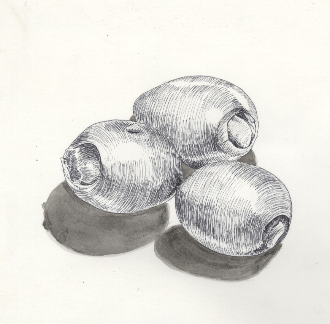 Tres Aceitunas