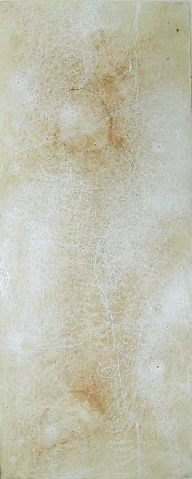 Fossil