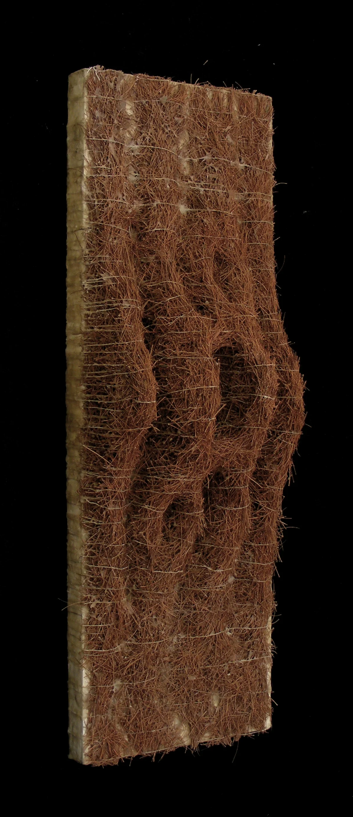 Bound (angled view).JPG