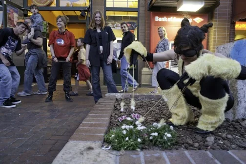 The Pollinatrix (Mill Avenue, Tempe, AZ)