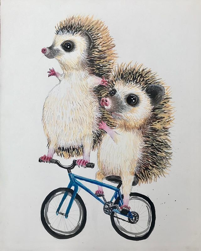 So much cuteness today!!!! Our family tells &ldquo;circle stories&rdquo; in the car, where one person starts and then we take turns adding to the story. Recently we told the tale of two twin #hedgehogs who wanted to compete in extreme sports together