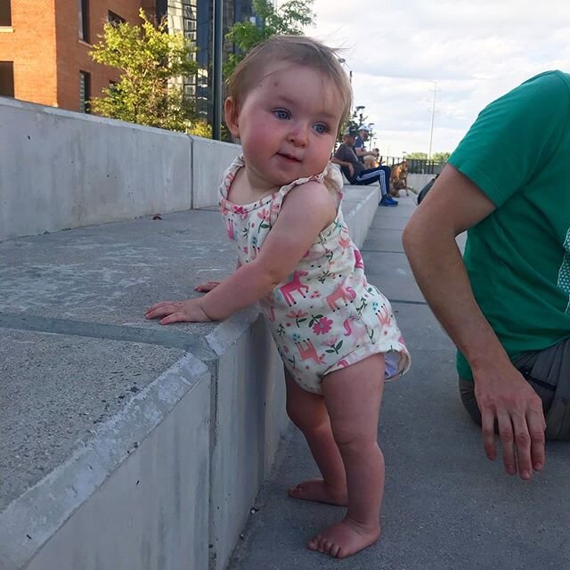 Lady Fi is pulling herself up to stand to get a better view of the river and barking back at dogs like a big girl! #familybikeride #denvercolorado #mybabygirl
