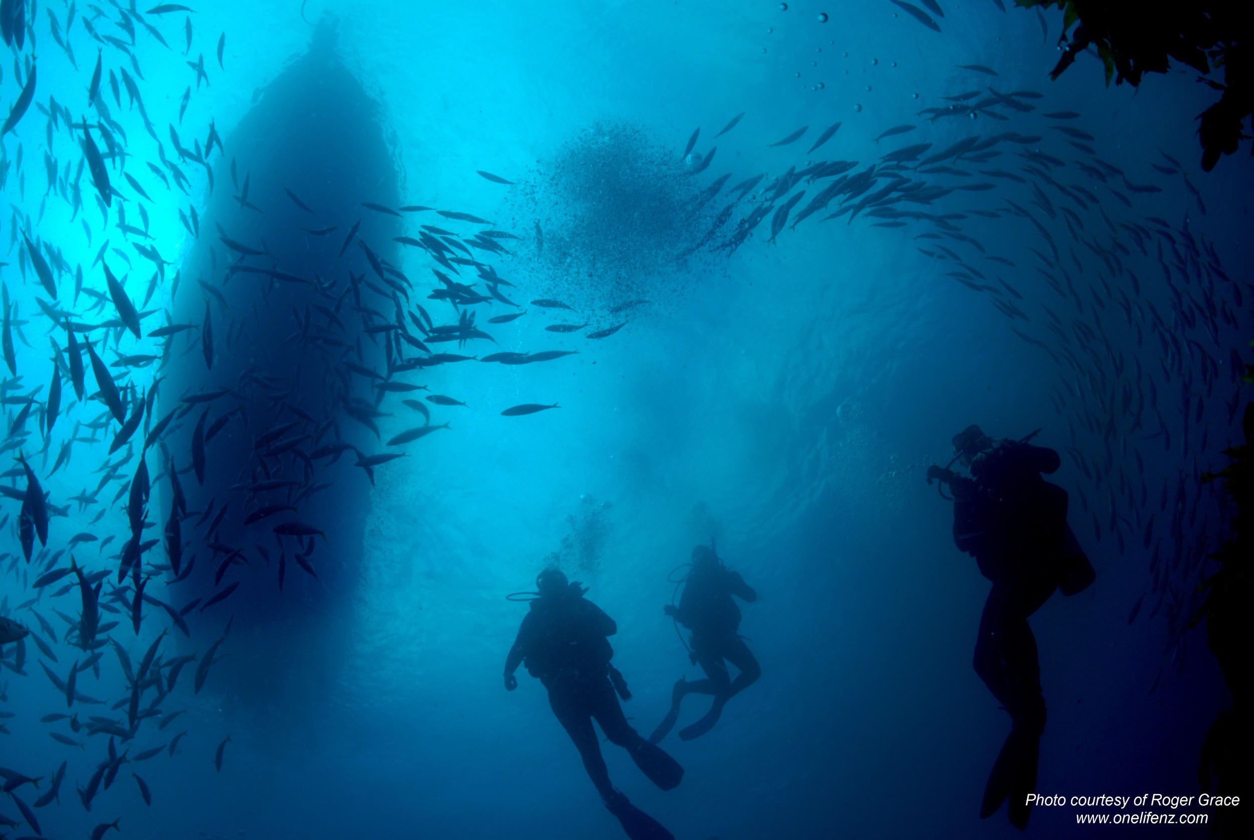 When diving and in times of grief, remembering to breathe is essential. Photo courtesy of Roger Grace