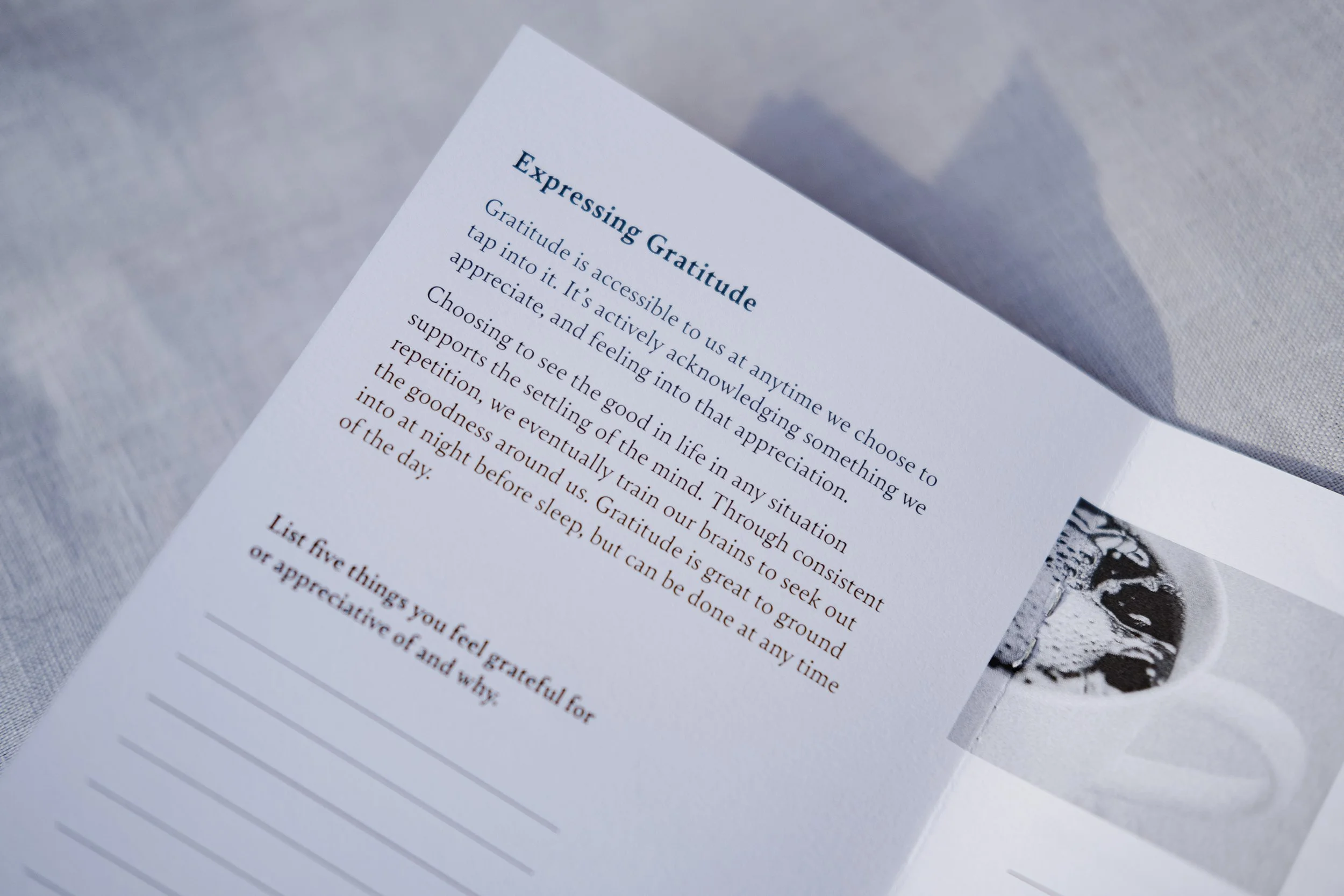 Mini-Book, Mental Health, One Life