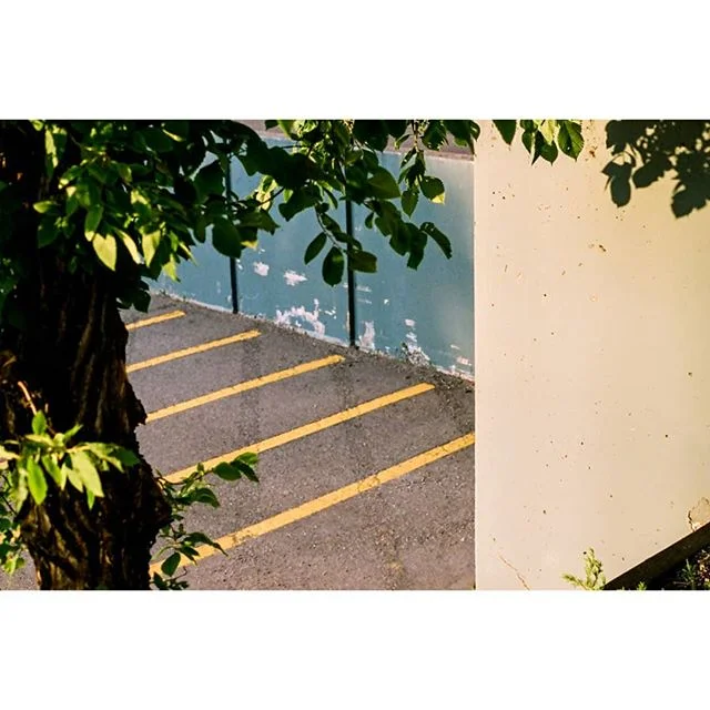 summer lines.