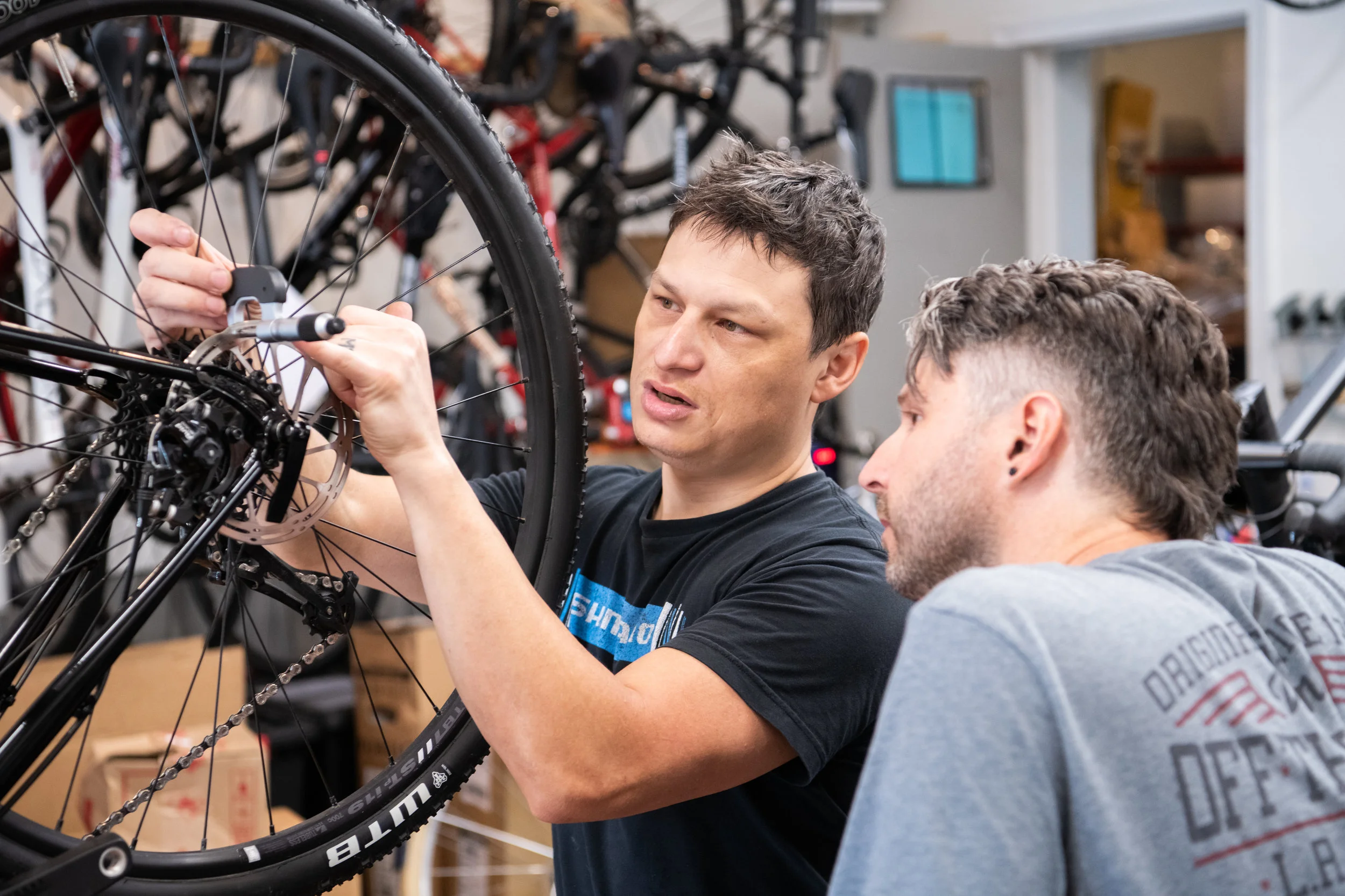 district cycle works