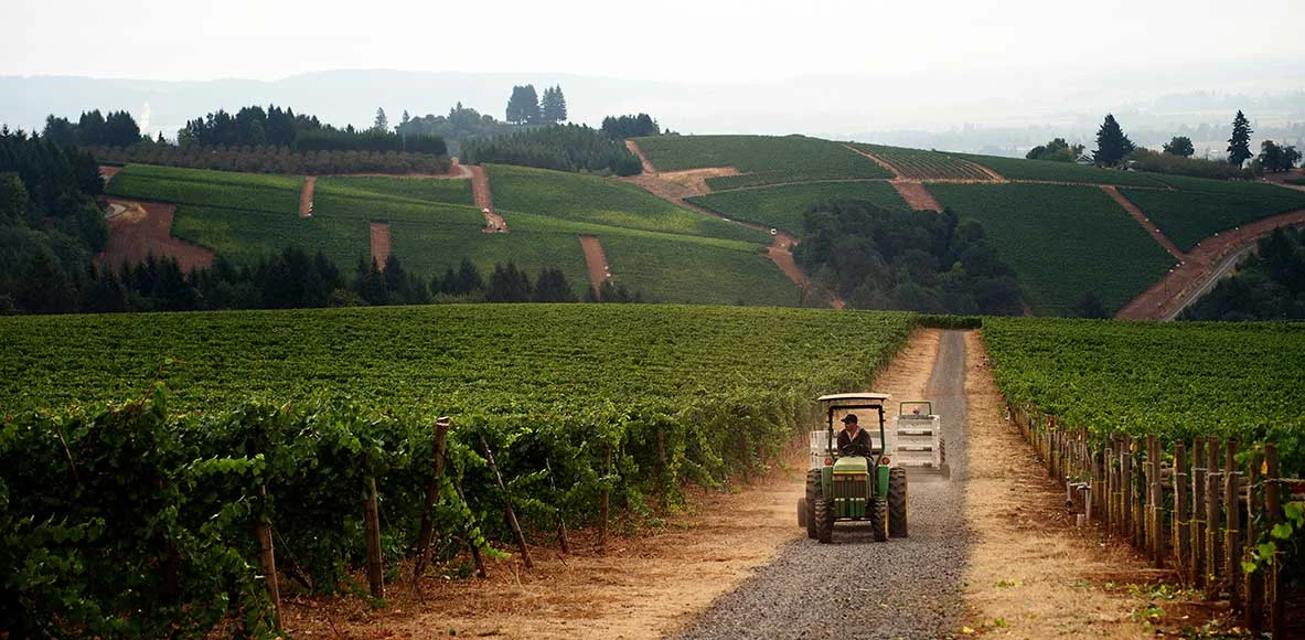 tractor-2.jpg