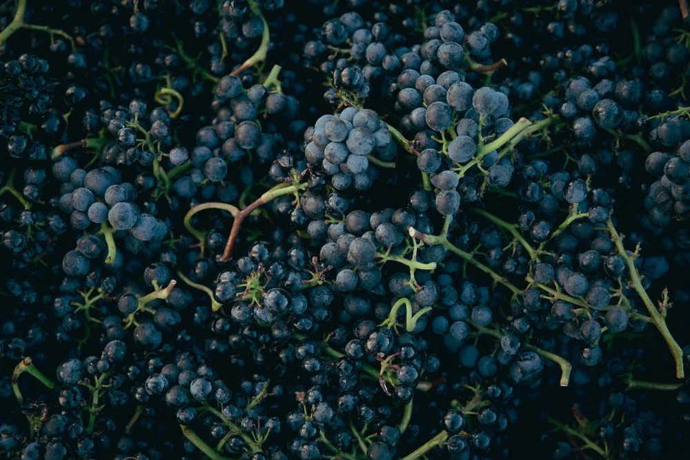 Fruit.jpg