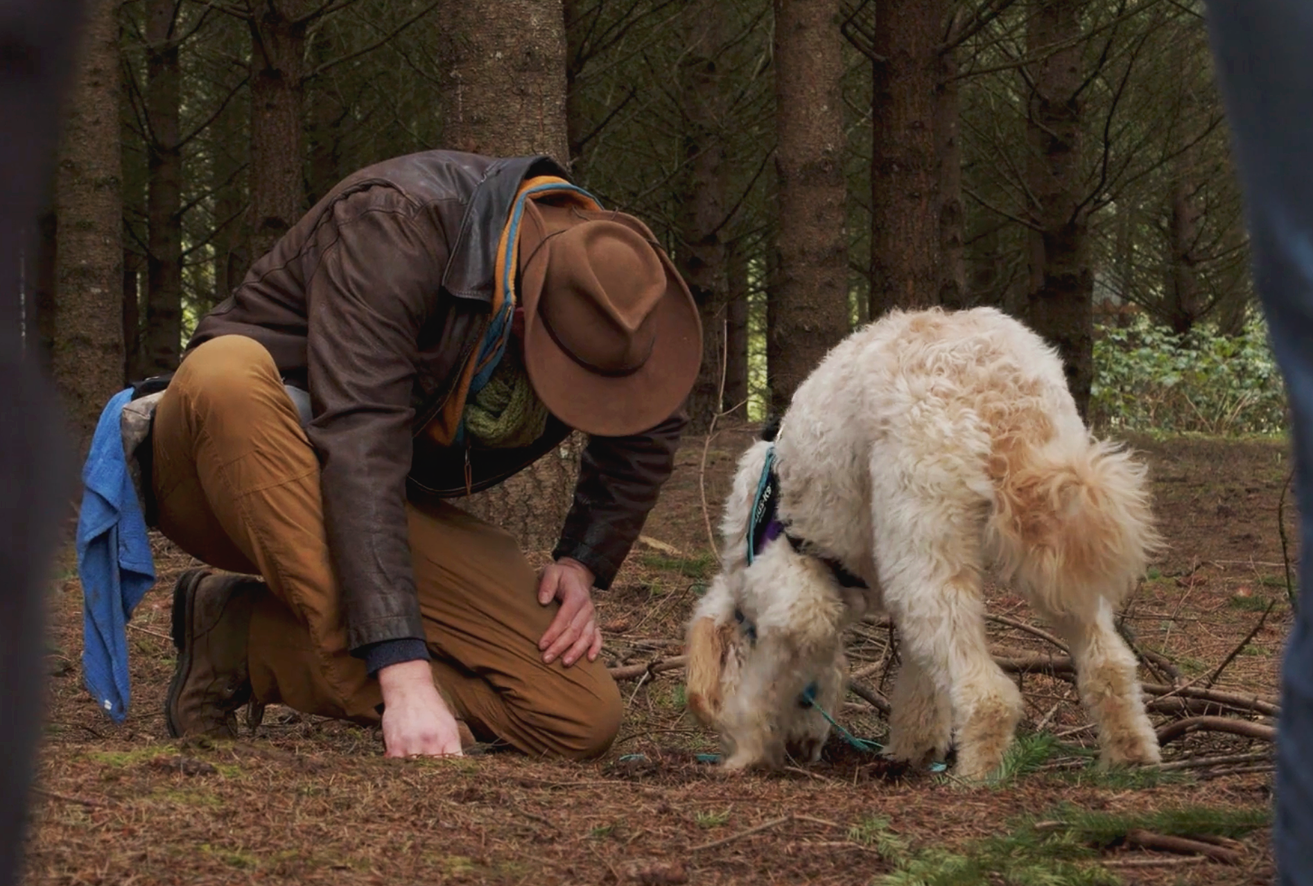 Truffle Hunting Tour with Ayoub Winery