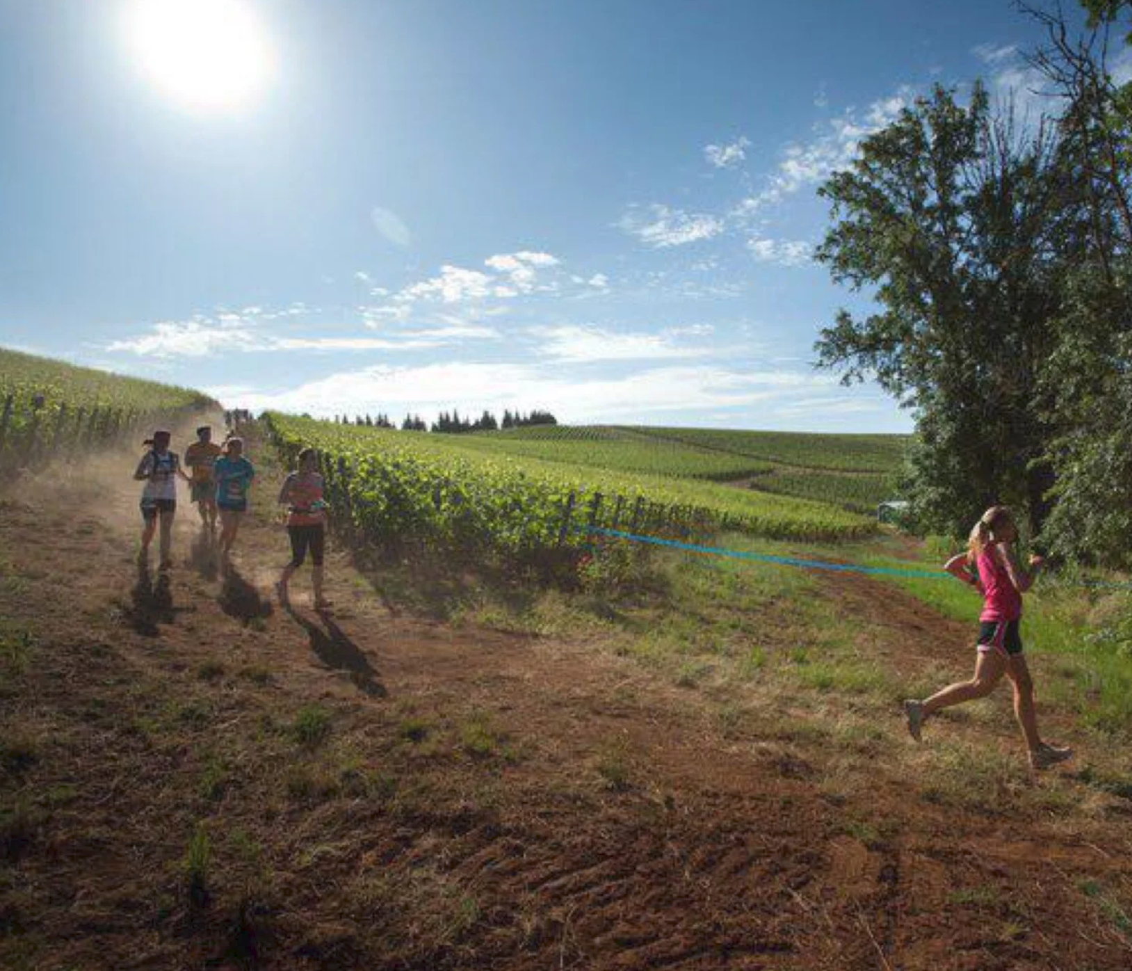 Fueled by Fine Wine - Half, Quarter, 5K