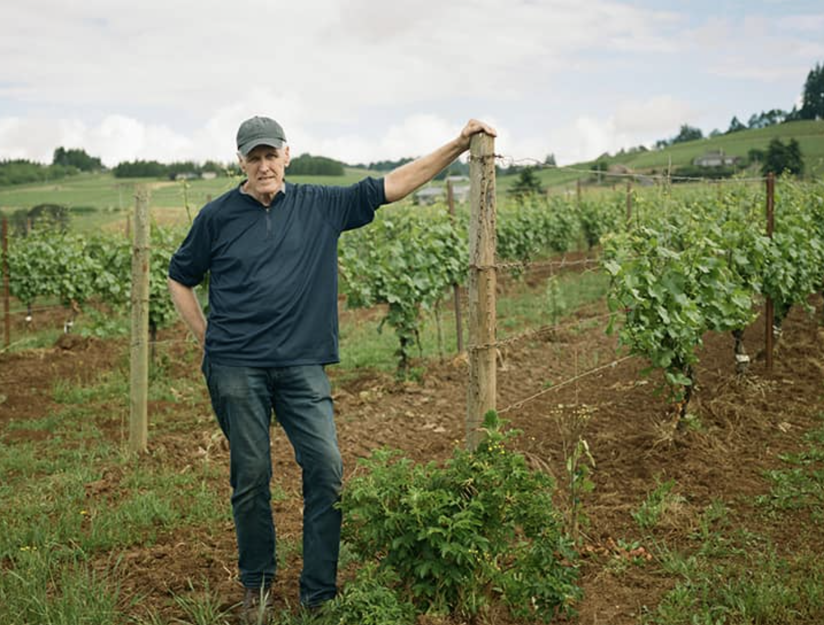 International Syrah Day Celebration at Holloran