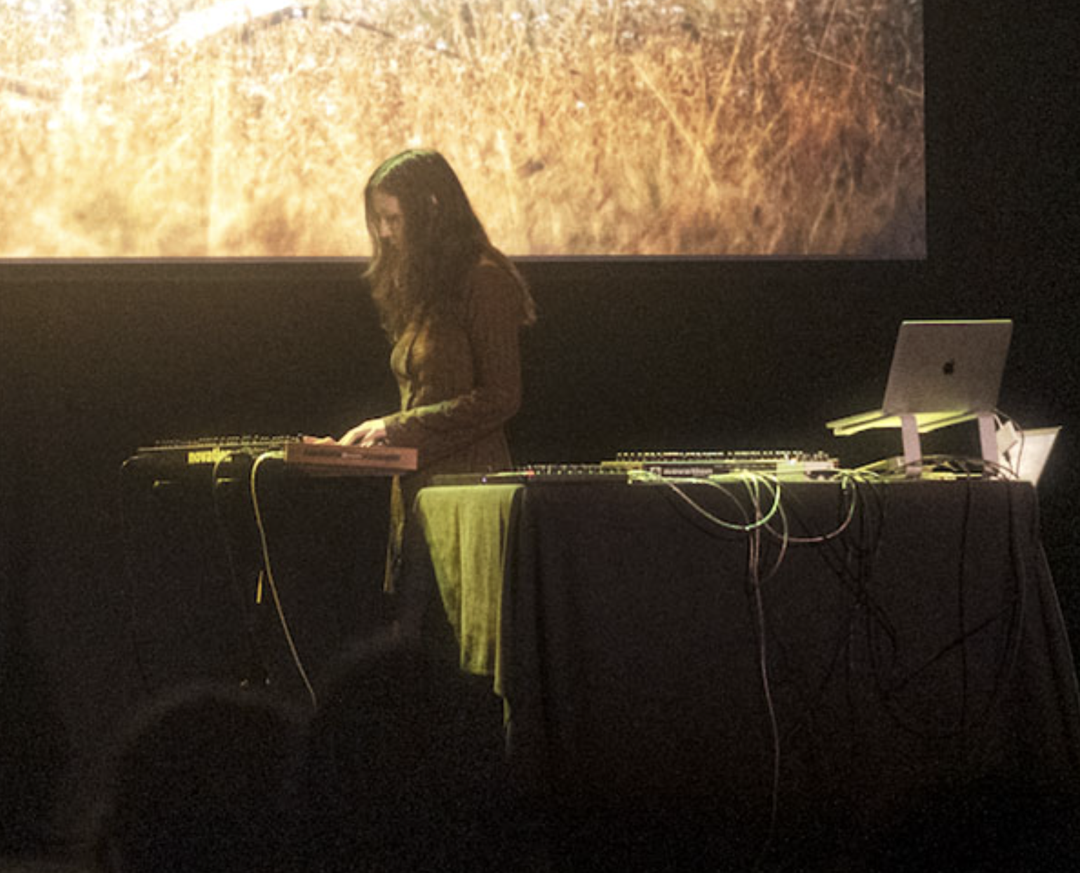 Sines and Vines: Live Electronic Music at Woodshed Wine Company