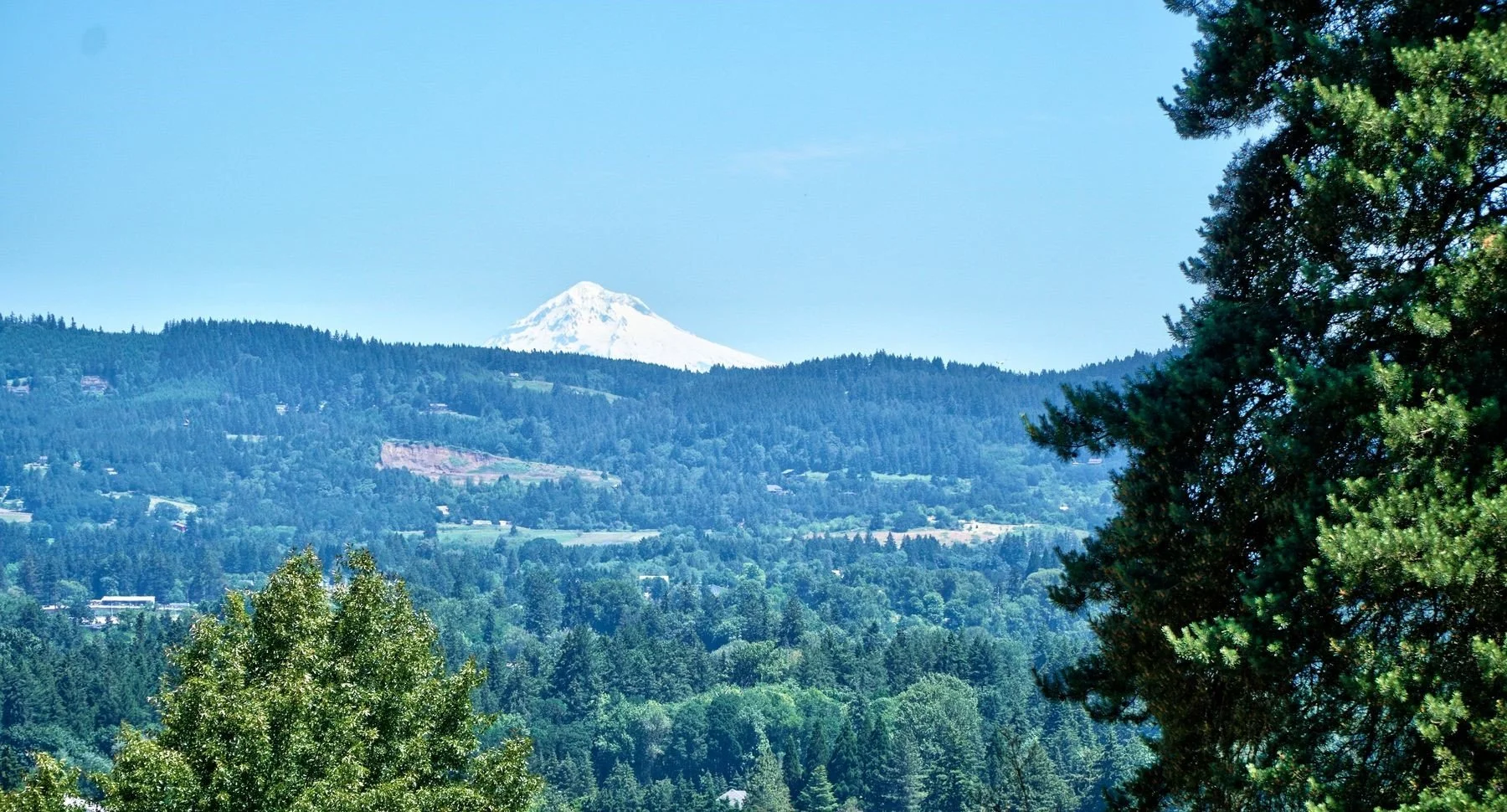 Dundee Hills Vacation