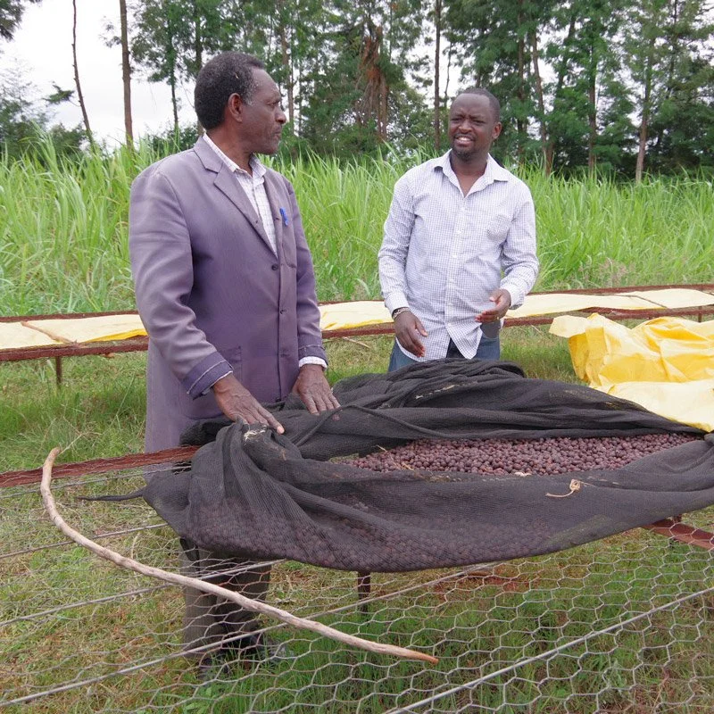 Francis-Kungu-0.jpg