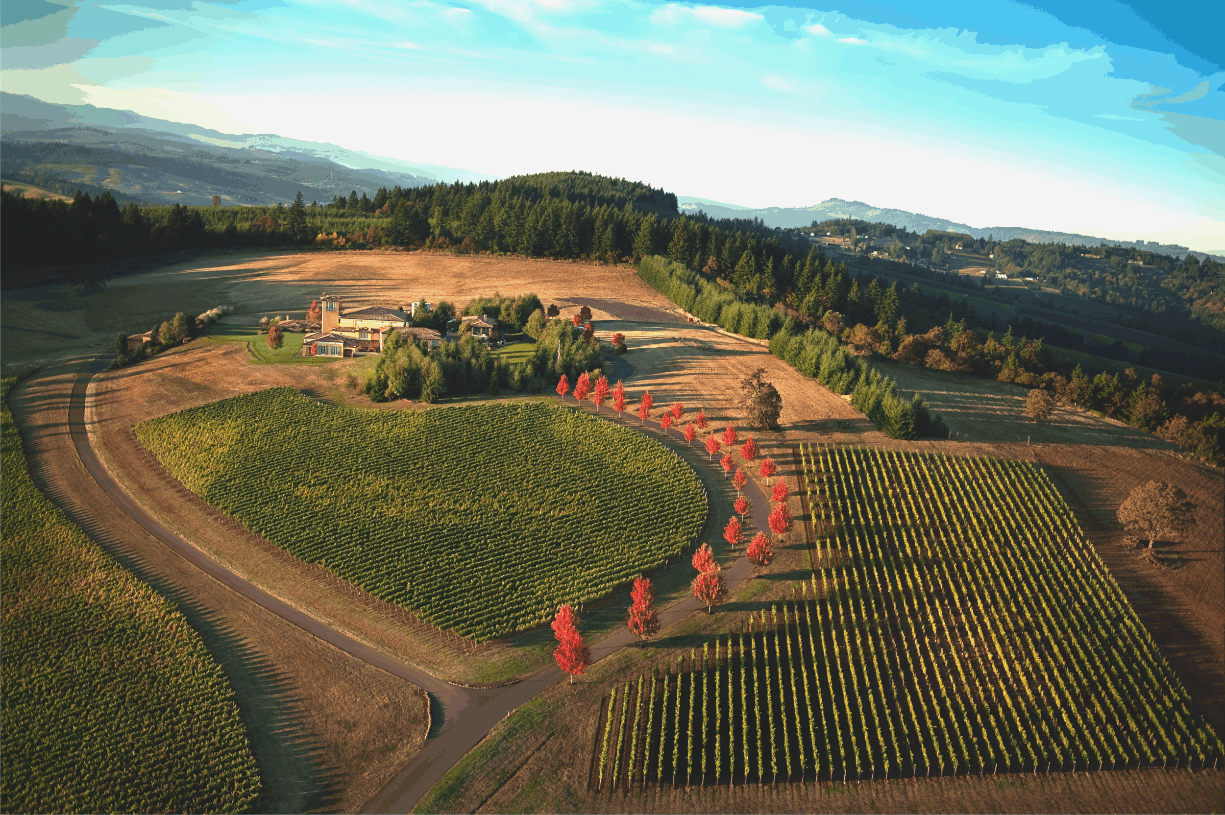 Harvest in the Hills: A Wine Tour of Dundee Hills AVA Wines 