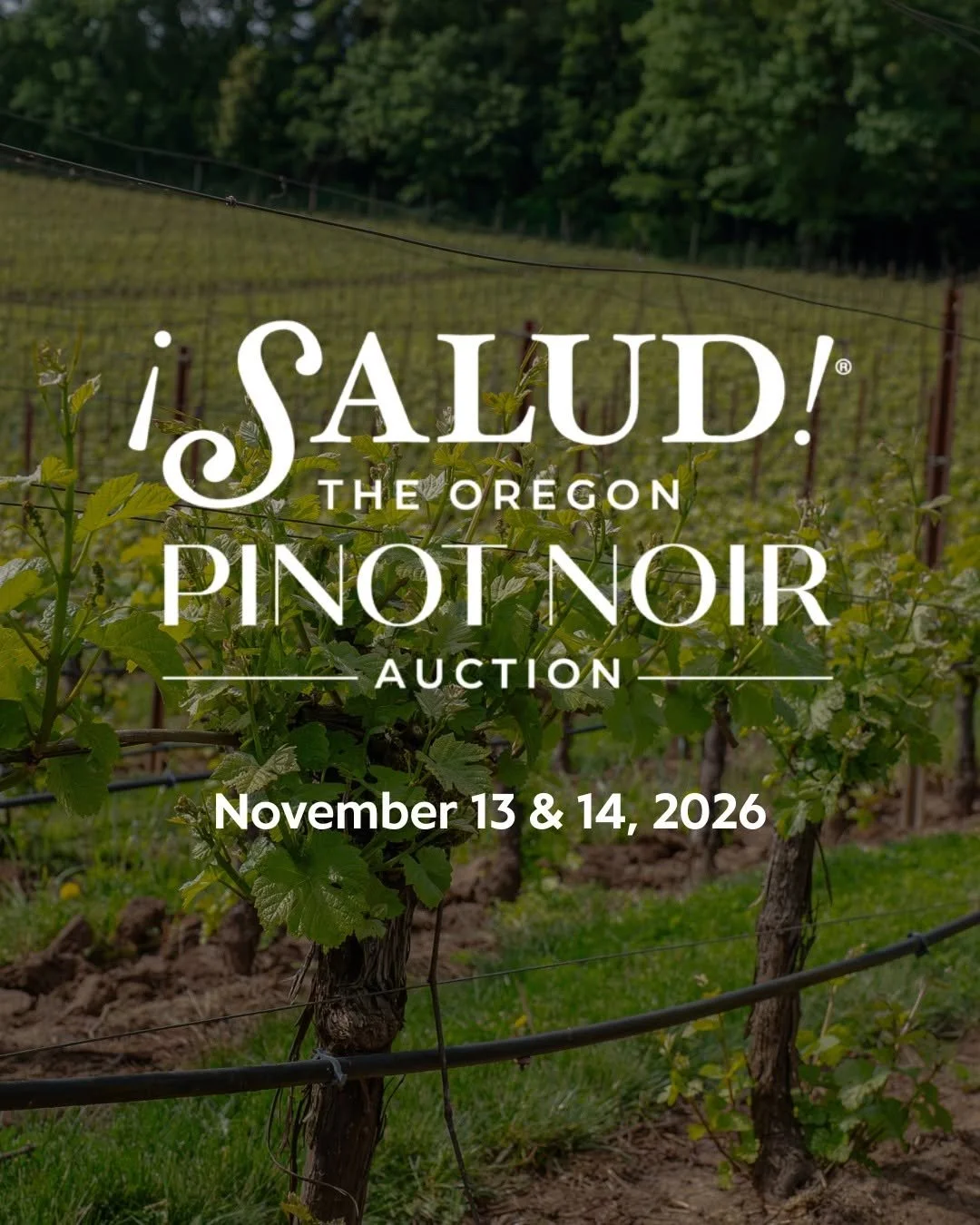 ¡Salud! The Oregon Pinot Noir Auction