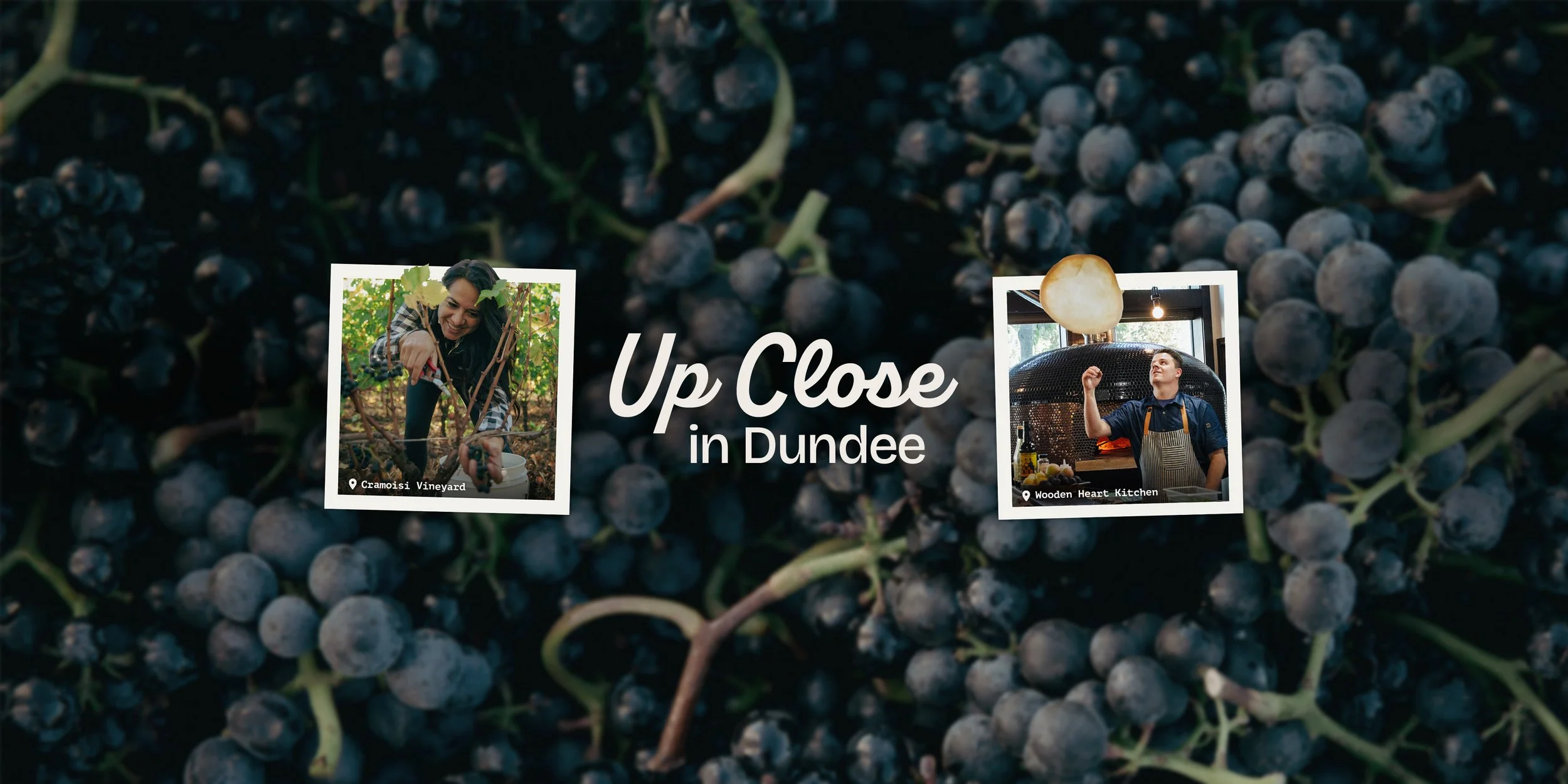 Dundee-2026-Spring-Header.jpg