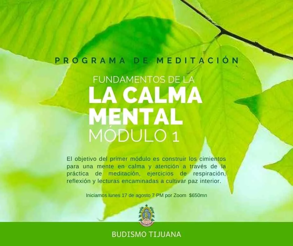 Programa de Meditación en línea: Felicidad desde el interior