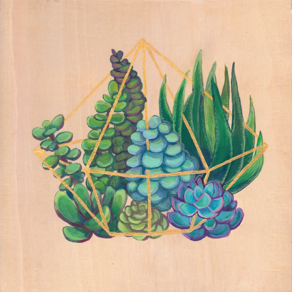 Geometric Terrarium #1